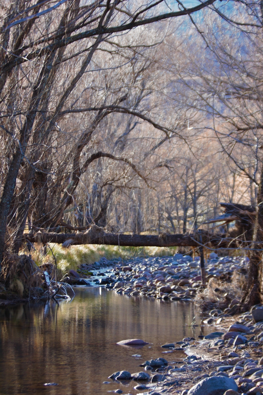 0 Bedroom Property for Sale in Barkly East Rural Eastern Cape